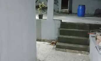 Imagem 5: Alugo casa Casa com 1 dormitório