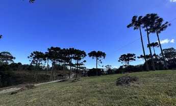 Imagem 5: TERRENO PARA VENDA EM URUBICI-SC
