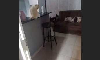 Imagem 4: Alugo apartamento Kit na Vila Planalto