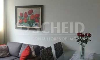 Imagem 3: Apartamento 2 dormitórios e 1 vaga à venda na Vila Mascote