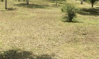 Imagem 6: Chácara Mogi das Cruzes