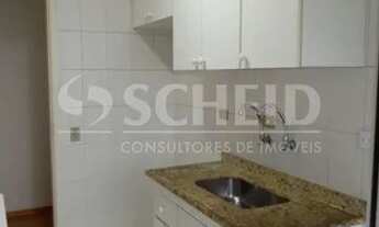 Imagem 6: APTO 2 DORMS, 1 VAGA FIXA, LAZER COMPLETO