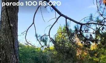 Imagem 7: Sítio Cercado Ou Com Riacho A 100 Metros Da Rs020. 1QC5TD3