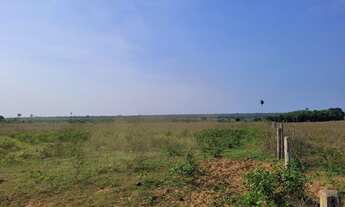 Imagem 14: Fazenda para Venda em São Félix do Xingu