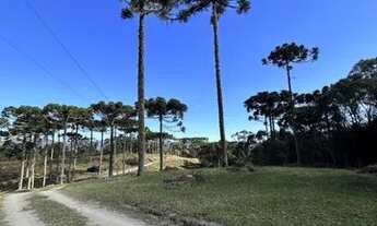 Imagem 2: TERRENO PARA VENDA EM URUBICI-SC