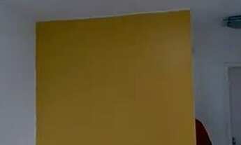 Imagem 7: Alugo Apartamento com 2 dormitórios