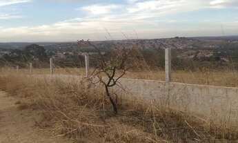 Imagem 6: Vendo chácaras em Santo Antônio do descoberto em Beatriz 2