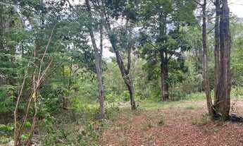 Imagem 2: Fazendinha 20.000 m², agua nos fundos, casa, terra fértil, Jaboticatubas