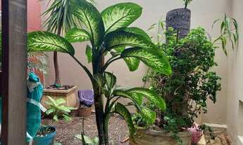 Imagem 2: Casa para Locação em Presidente Prudente, Residencial Universitário, 3 dormitórios, 1 suít