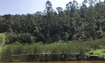 Imagem 3: Sitio para venda com 242000 metros quadrados com 4 quartos