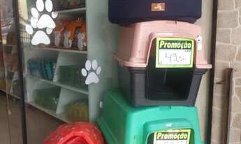 Imagem 5: Passo ponto Banho e tosa em Bento Ribeiro