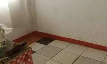 Imagem 4: Kit na 314 samambaia R$480 c/água/luz