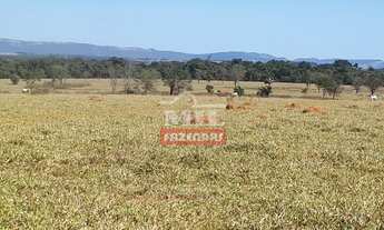 Imagem 6: Fazenda 152 alqueires ( 752 hectares ) São Luís dos Montes Belos - GO