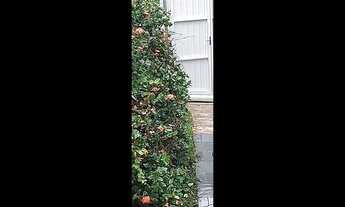 Imagem 2: Kitnete semi-mobiliada prox Floripa shopping