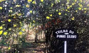 Imagem 4: Venda de Casa em São Paulo