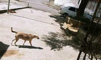 Imagem 3: Vendo ou troco casa no Benedito 2 guaxuma