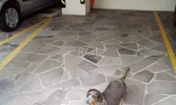 Imagem 3: Apartamento para Venda - 77.52m², 3 dormitórios, 1 vaga - Boa Vista