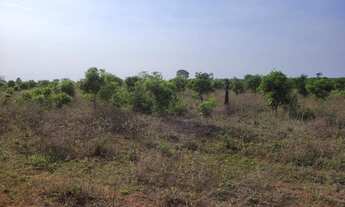 Imagem 15: Fazenda para Venda em São Félix do Xingu