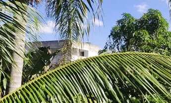 Imagem 3: Aluga-se 3 Kitnetes - Mobiliadas e Semi-mobiliadas (finalizando acabamento