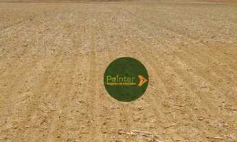 Imagem: Fazenda à venda, 10696400 m² por R$ 95.000.000,00