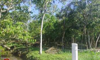 Imagem 5: Terreno Residencial em Ratones