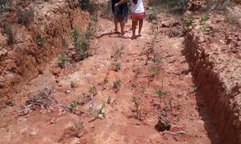 Imagem 2: Lote Registrado - 360m² Melo Viana