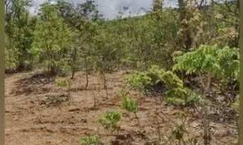 Imagem 5: FAZENDA - 1.500 HECTARES