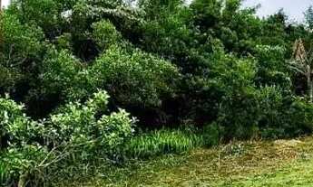 Imagem 6: Terreno para Venda em Nova Petrópolis, Vila Olinda