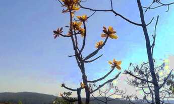 Imagem 5: Vendo ou troco chácara em Itatiaiuçu