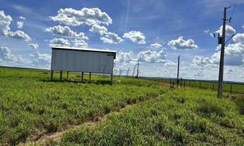 Imagem 4: Fazenda de Dupla Aptidão 635 hectares à Venda em Sapezal - MT