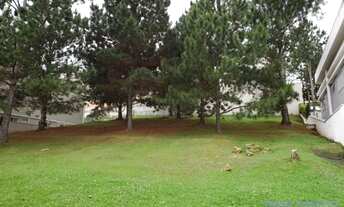 Imagem 4: TERRENO EM CONDOMÍNIO - TAMBORÉ - SP