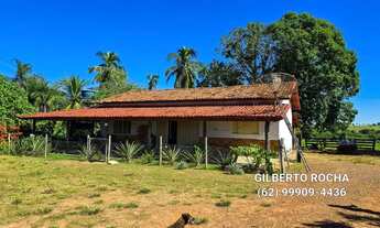 Imagem 5: Chacara completa localizada entre Araguapaz e Mozarlândia - GO