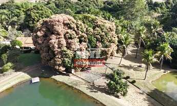 Imagem 5: Sitio 10 alqueires (48,4 hectares) Piracanjuba - Go