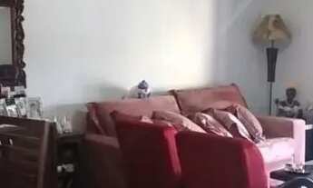 Imagem 7: Casa em Ipanema Casa com 3 dormitórios