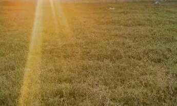 Imagem: Vendo terreno no Morada Rural em Guaxindiba