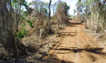 Imagem 6: Terreno Amplo Pronto para Construir