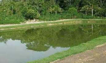 Imagem 4: Sítio 150 x 350 Rio Preto da Eva 530.000