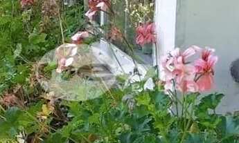 Imagem 4: Terreno à venda com 923 metros Biarro Anchieta São Bernardo do Campo