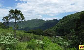 Imagem 2: Sítio / Chácara para Venda em Nova Petrópolis, Feliz lembrança, 2 dormitórios, 1 banheiro