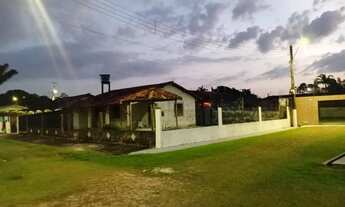 Imagem: Ariramba jurubeba mosqueiro