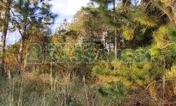 Imagem 3: Terreno Parada Cristal Caxias do Sul