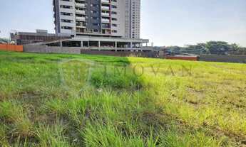 Imagem 2: Terreno Padrão em Ribeirão Preto