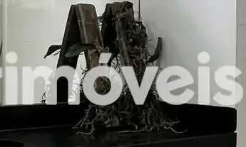 Imagem 6: Amplo apartamento 4 quartos em excelente localização do bairro Funcionários