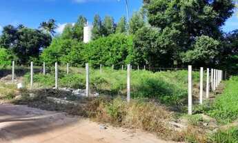 Imagem 6: Terreno 300m2 - Japaratinga - AL