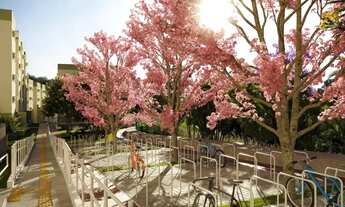 Imagem 2: Apartamento no Curado