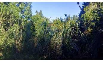 Imagem 6: Mini Sítio à Venda em Alvorada/RS