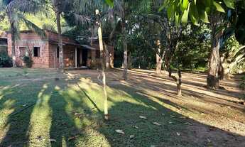 Imagem 6: Vende - se esta chácara