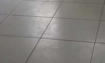 Imagem 6: Apartamento na Santa Amélia - 3° andar