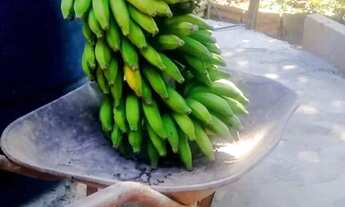 Imagem 7: CHÁCARA 6.000 m² - OPORTUNIDADE A 8 KM DE MONTES CLAROS