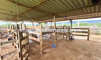 Imagem 2: Fazenda em Araguari - 14,88 alqueires